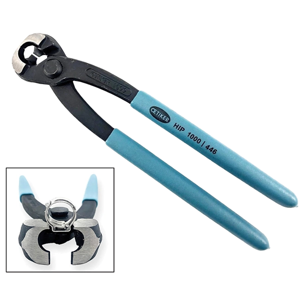 Dynamic Content Image